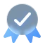 Video Icon